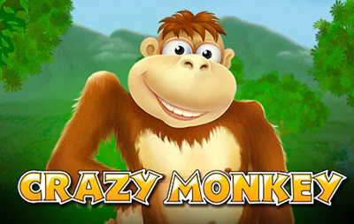 Crazy Monkey